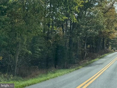 14015 Winchester Grade Rd, Berkeley Springs, WV 25411 - photo 4