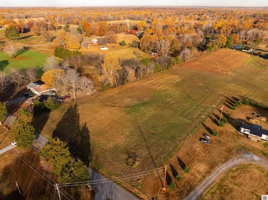 000 Dunnigan Ln, Benton, KY 42025 - photo 4