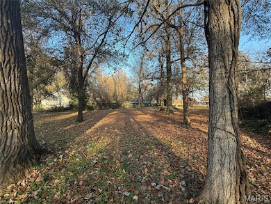 501 College Ave, Kennett, MO 63857 - photo 5