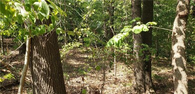 0 Kevin Ln unit 1174657, Bella Vista, AR 72715 - photo 5