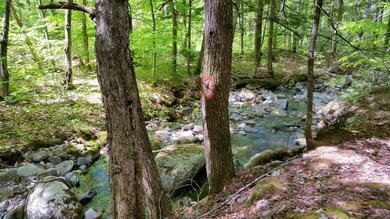 View of the small mountain stream...