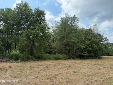 2571 Bellview Rd, Pikeville, TN 37367 - photo 2