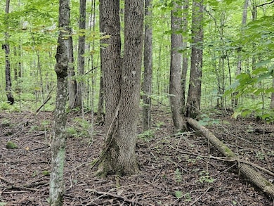 ON Aspen Ln, Phillips, WI 54555 - photo 3