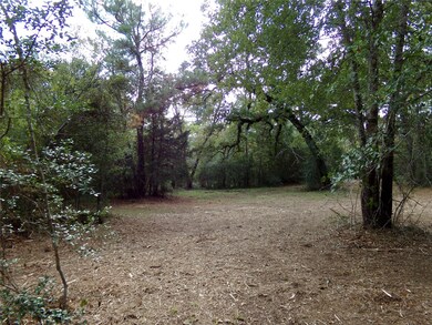 24883 Nightingale Ln, Hockley, TX 77447 - photo 4