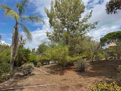 Sage Hill Meadow Glen Way W, Hidden Meadows, CA 92026 - photo 3