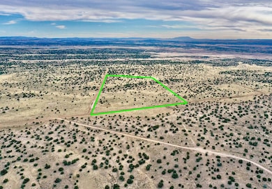 Tbd N6579, Saint Johns, AZ 85936 - photo 4