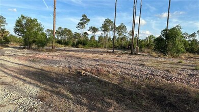 1210 Little Ln, Central Naples, FL 34105 - photo 3