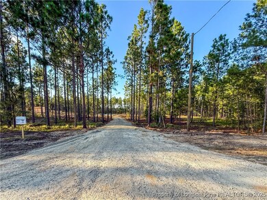 3043 Fields (Lot 2) Rd, Fayetteville, NC 28312 - photo 2