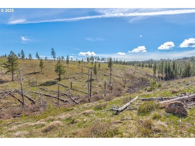 1 2 Box Canyon Rd, Goldendale, WA 98620 - photo 4