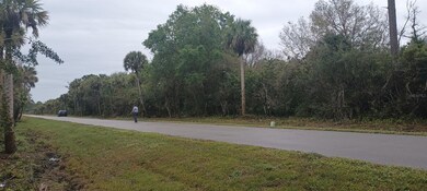 unlisted-address, Rural Estates, FL 34120 - photo 2