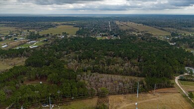 TBD Highway 321, Dayton, TX 77535 - photo 4