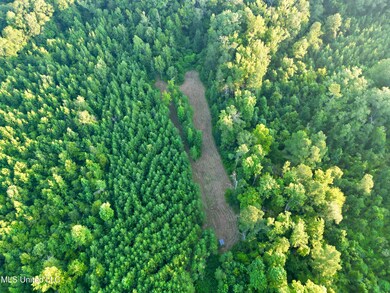 0 John I Hay Rd, Wesson, MS 39191 - photo 4