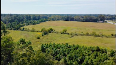 2103 W Hill Ave, Valdosta, GA 31601 - photo 7