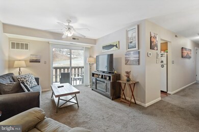 620 Manatawny St unit 76, Pottstown, PA 19464 - photo 2