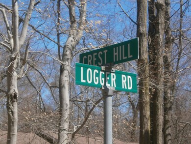 0 Logger Rd, Greene Township, PA 18325 - photo 7