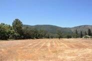 Forks 7