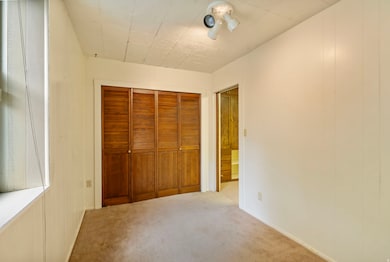 Unfurnished bedroom with carpet flooring and a closet