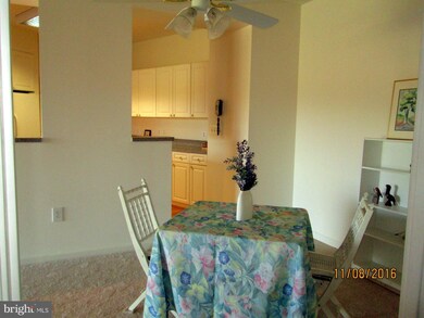 3005 Leisure World Blvd S unit 315, Silver Spring, MD 20906 - photo 7