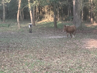 0 Seneca Trail, Magnolia, TX 77354 - photo 4