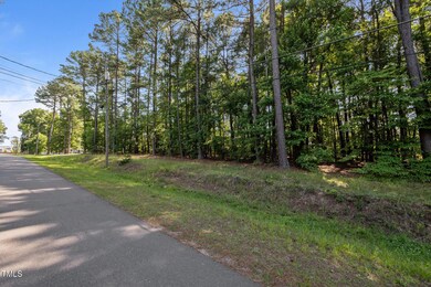 13-web-or-mls-P1065331