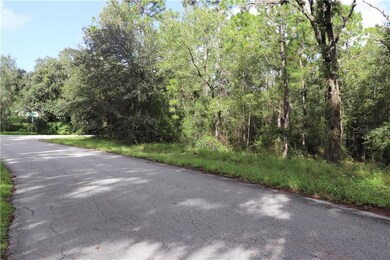 00 SW 211th Cir, Dunnellon, FL 34431 - photo 4