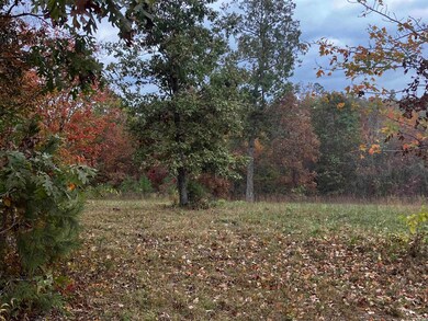 1300 Qmc Rd, Mountain View, AR 72560 - photo 5