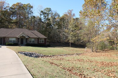 291 Sara Acres Dr, Tennessee Ridge, TN 37178 - photo 5