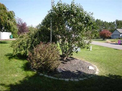 Yard/Garden