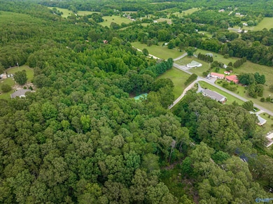 Lot 3 Hickory Ln, Hammondville, AL 35989 - photo 3