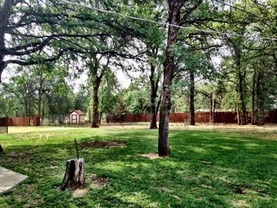 Back Yard (2)