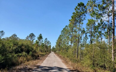 0 County Line & Prine unit 123987, Lee, FL 32059 - photo 5