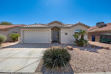 Desert Landscaping