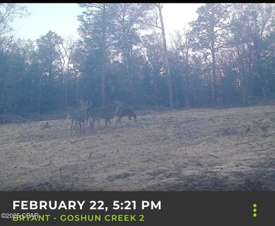 516 Goshun Creek Rd, Chipley, FL 32428 - photo 2