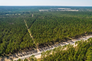 0 Queen Anne Way unit 59002626, Huntsville, TX 77340 - photo 5