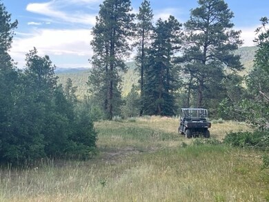 TBD Log Ridge Trail, Chama, NM 87520 - photo 7