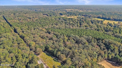 0 Cleary Rd, Florence, MS 39073 - photo 4