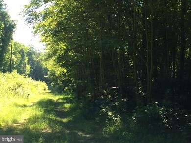 0 Pinewood Ln unit 1000025877, Colonial Beach, VA 22443 - photo 3