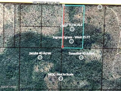 0 NW Camp Head Rd unit 770843, Altha, FL 32421 - photo 2