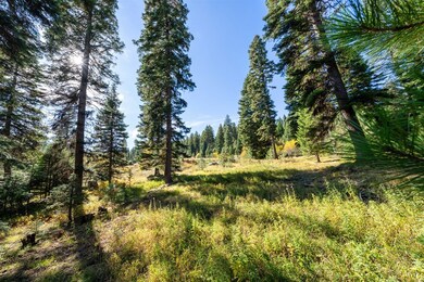 459 Osprey View Dr unit 90, McCall, ID 83638 - photo 5