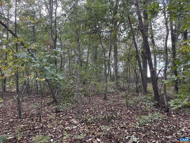 Lot 4 Constitution Hwy unit 4, Orange, VA 22960 - photo 5