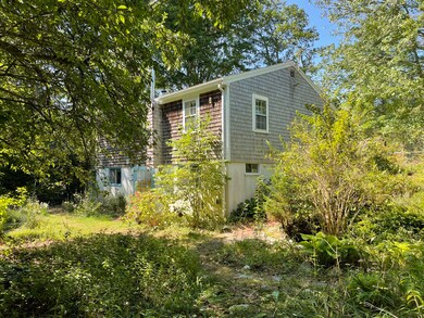 Rear Yard