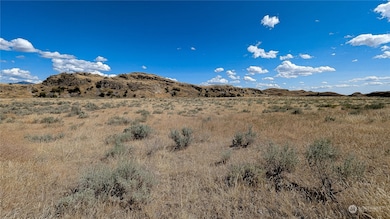 158 Riverside Cutoff Rd, Riverside, WA 98849 - photo 5