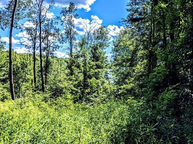 N1233 Deer Head Point, Rusk, WI 54728 - photo 3