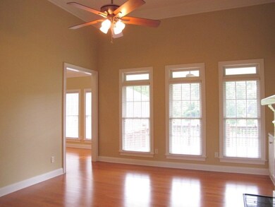 Lots of Natural Light!