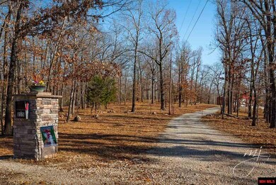 215 County Road 153, Elizabeth, AR 72531 - photo 2
