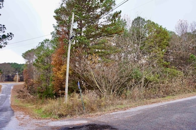 00 County Road 738, Cullman, AL 35055 - photo 5