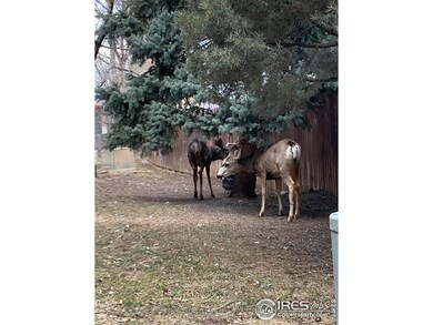 Carousel Image