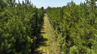 TBD Selma Loop, Georgetown, LA 71432 - photo 6