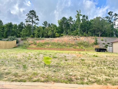 905 Tuscan View, Oxford, MS 38655 - photo 4