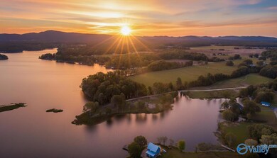 Lot 49 County Road 115, Cedar Bluff, AL 35959 - photo 7